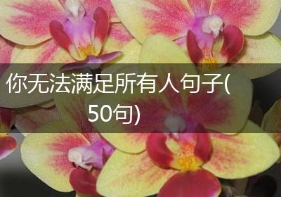 你无法满足所有人句子(50句)