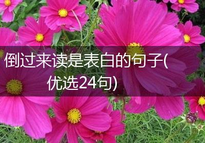 倒过来读是表白的句子(优选24句)