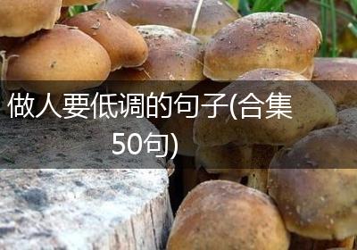 做人要低调的句子(合集50句)