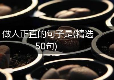 做人正直的句子是(精选50句)