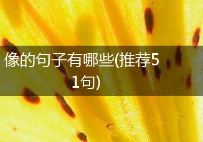 像的句子有哪些(推荐51句)