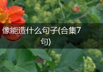 像能造什么句子(合集7句)