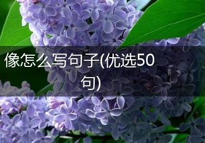 像怎么写句子(优选50句)