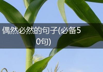 偶然必然的句子(必备50句)