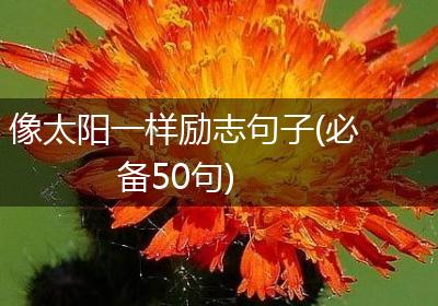 像太阳一样励志句子(必备50句)