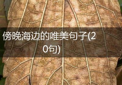 傍晚海边的唯美句子(20句)