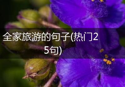 全家旅游的句子(热门25句)