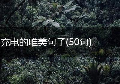 充电的唯美句子(50句)
