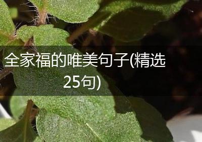 全家福的唯美句子(精选25句)