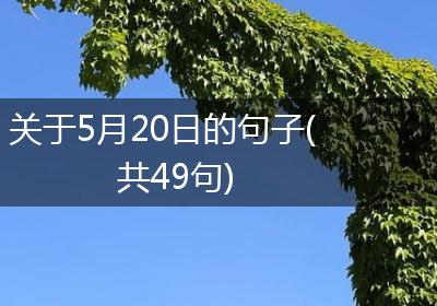 关于5月20日的句子(共49句)