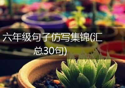 六年级句子仿写集锦(汇总30句)