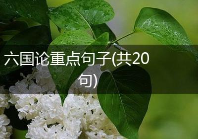 六国论重点句子(共20句)