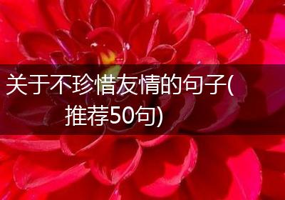 关于不珍惜友情的句子(推荐50句)