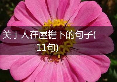关于人在屋檐下的句子(11句)