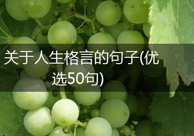 关于人生格言的句子(优选50句)