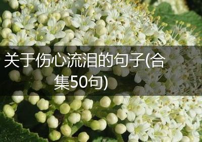 关于伤心流泪的句子(合集50句)