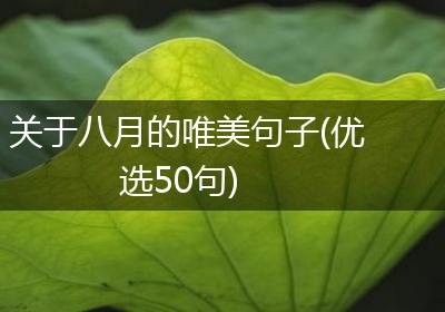 关于八月的唯美句子(优选50句)