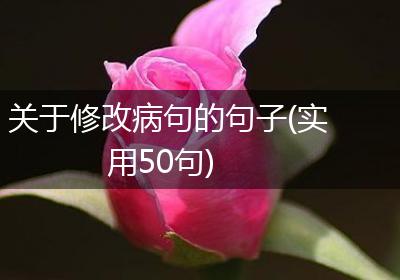 关于修改病句的句子(实用50句)