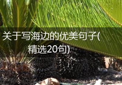 关于写海边的优美句子(精选20句)