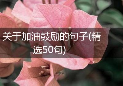 关于加油鼓励的句子(精选50句)