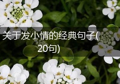 关于发小情的经典句子(20句)
