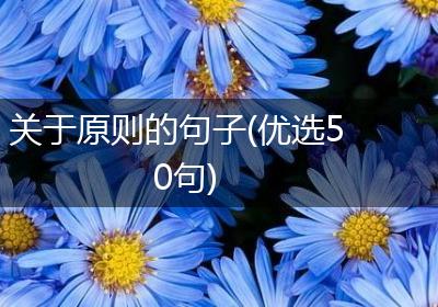 关于原则的句子(优选50句)