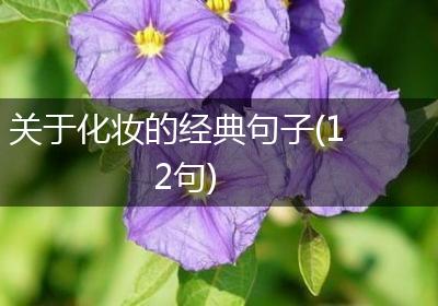 关于化妆的经典句子(12句)