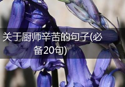 关于厨师辛苦的句子(必备20句)