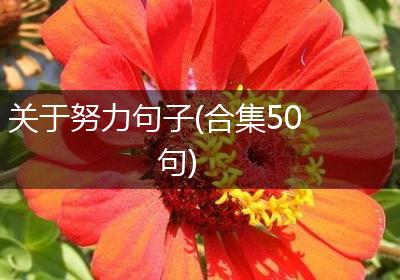 关于努力句子(合集50句)