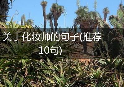 关于化妆师的句子(推荐10句)