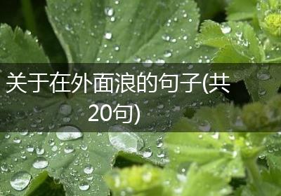 关于在外面浪的句子(共20句)