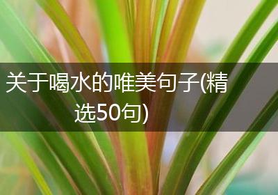 关于喝水的唯美句子(精选50句)