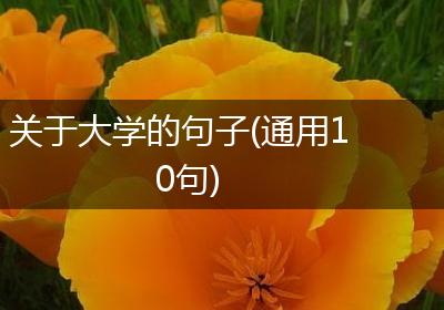 关于大学的句子(通用10句)