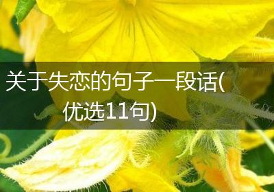 关于失恋的句子一段话(优选11句)