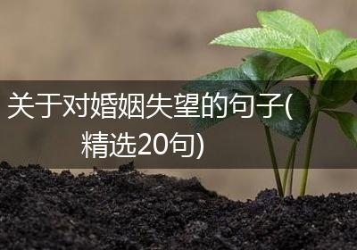 关于对婚姻失望的句子(精选20句)