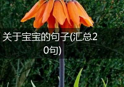 关于宝宝的句子(汇总20句)