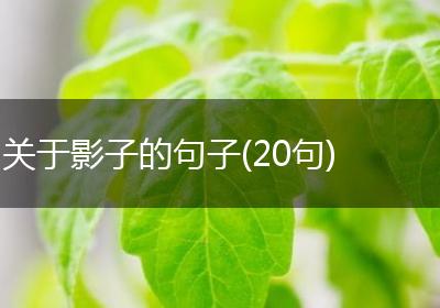 关于影子的句子(20句)