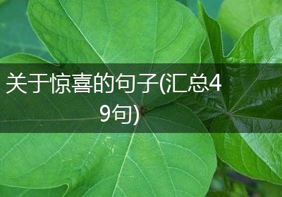 关于惊喜的句子(汇总49句)