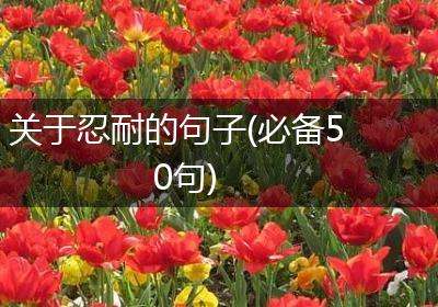 关于忍耐的句子(必备50句)