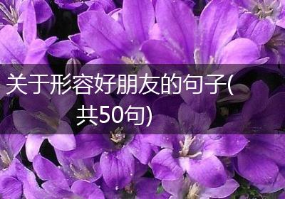 关于形容好朋友的句子(共50句)