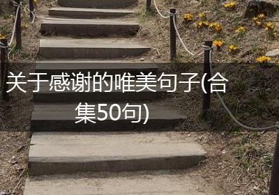 关于感谢的唯美句子(合集50句)