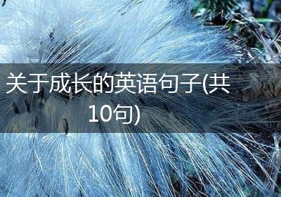 关于成长的英语句子(共10句)