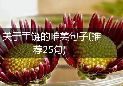关于手链的唯美句子(推荐25句)