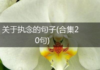 关于执念的句子(合集20句)