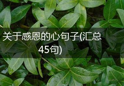 关于感恩的心句子(汇总45句)
