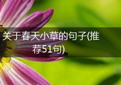 关于春天小草的句子(推荐51句)