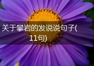 关于攀岩的发说说句子(11句)