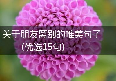 关于朋友离别的唯美句子(优选15句)