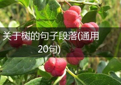 关于树的句子段落(通用20句)