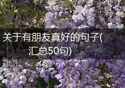 关于有朋友真好的句子(汇总50句)